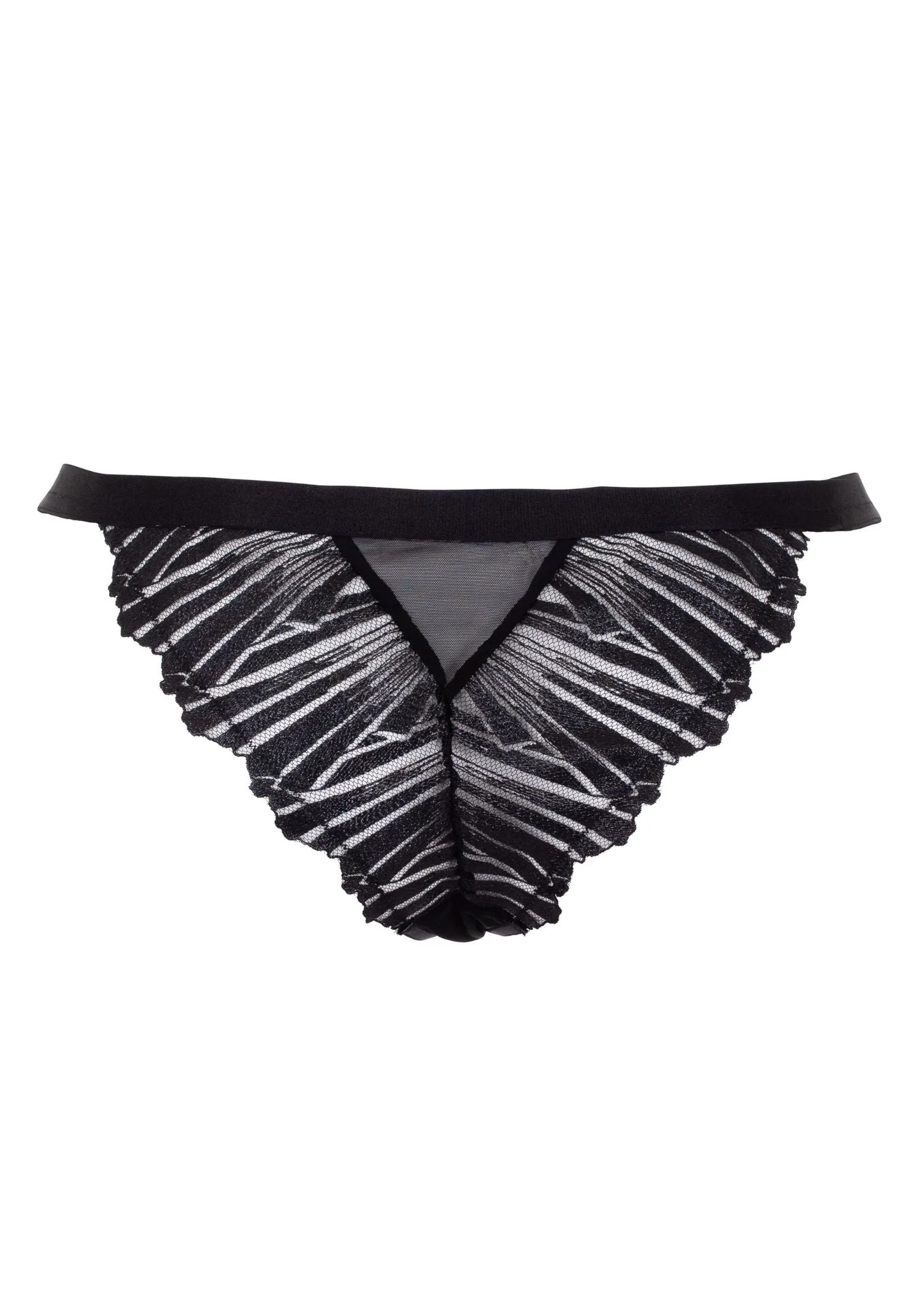 Sofia Brief